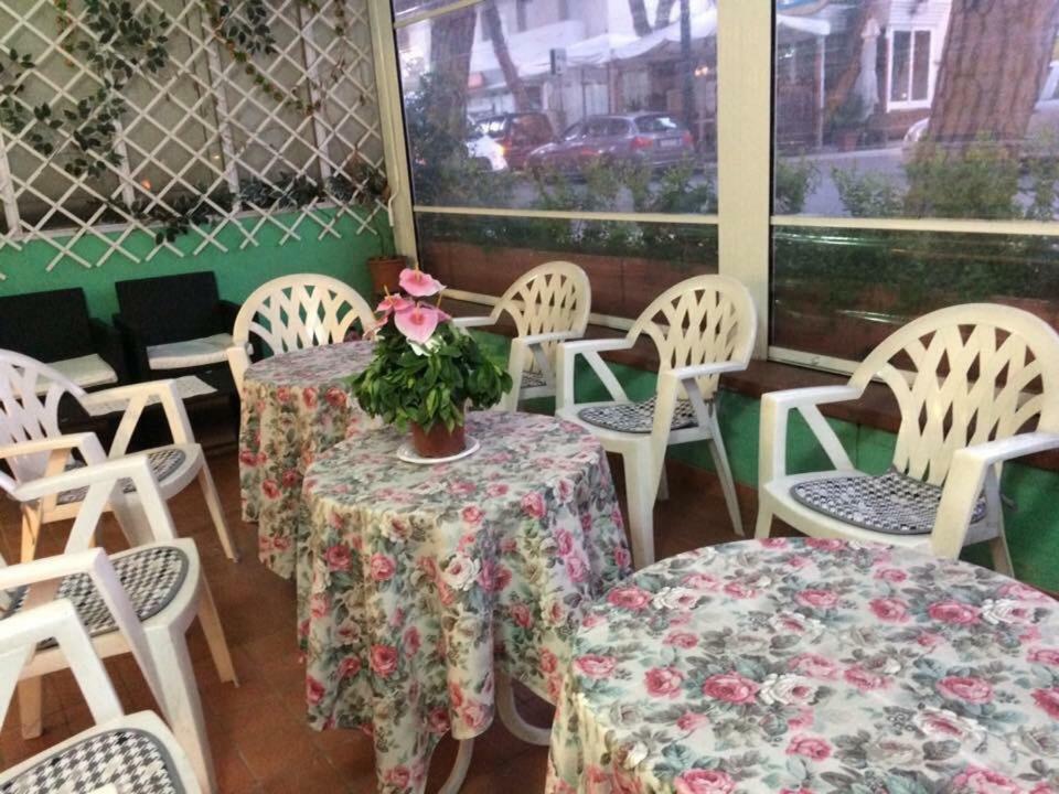 New Prophet Bed & Breakfast Cattolica Bagian luar foto